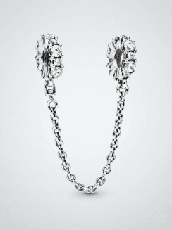 Cadena de Seguridad Shine
