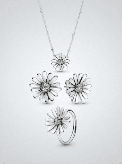 Conjunto de Joyas de Margaritas Brillante